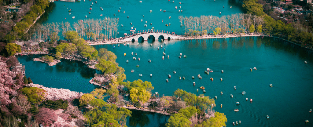 China Cherry Blossom: Yuyuantan Park (玉渊潭公园)