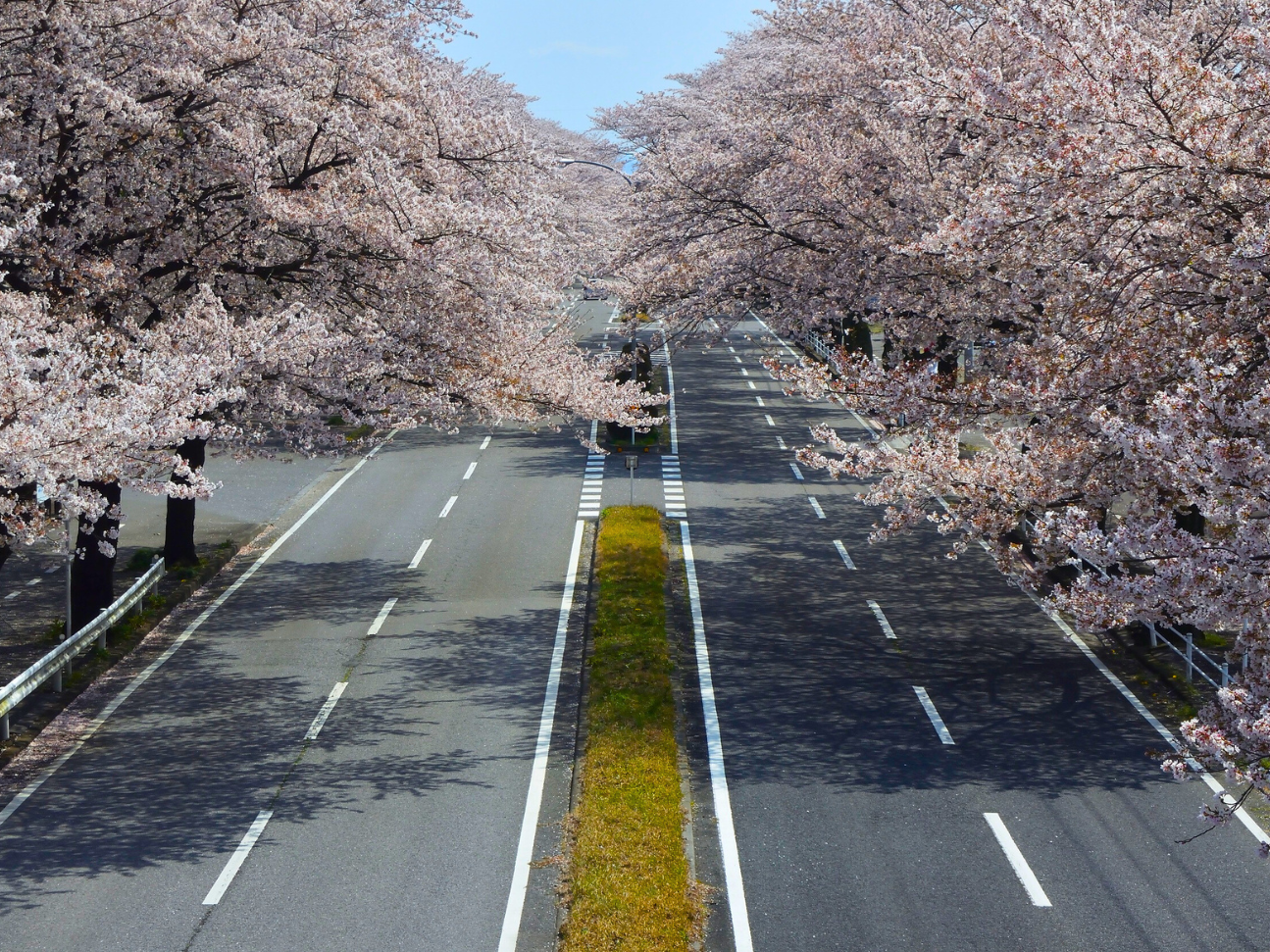 japan road trip car rental tokyo
