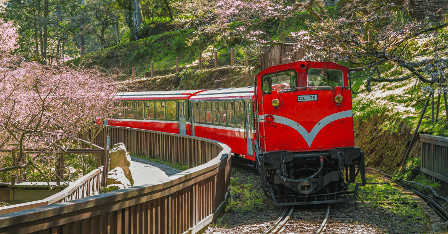 alishan taiwan forest railway