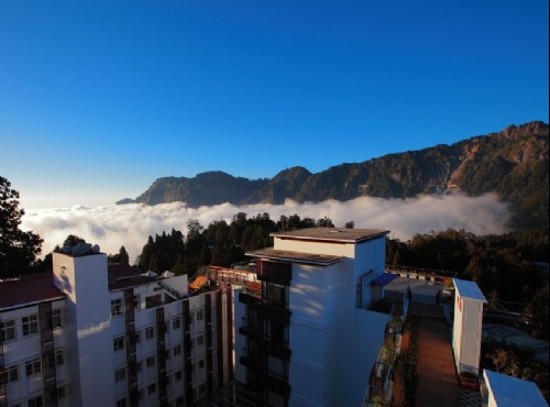 alishan taiwan: alishan house