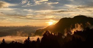 Alishan Taiwan: The Complete Travel Guide