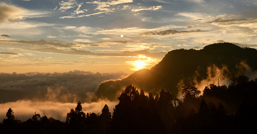 Alishan Taiwan: The Complete Travel Guide