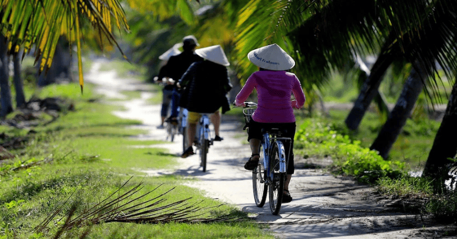 things to do in hoi an: Cycle to Tra Que Vegetable Village