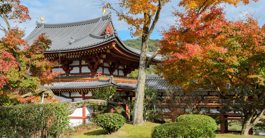 things to do in uji