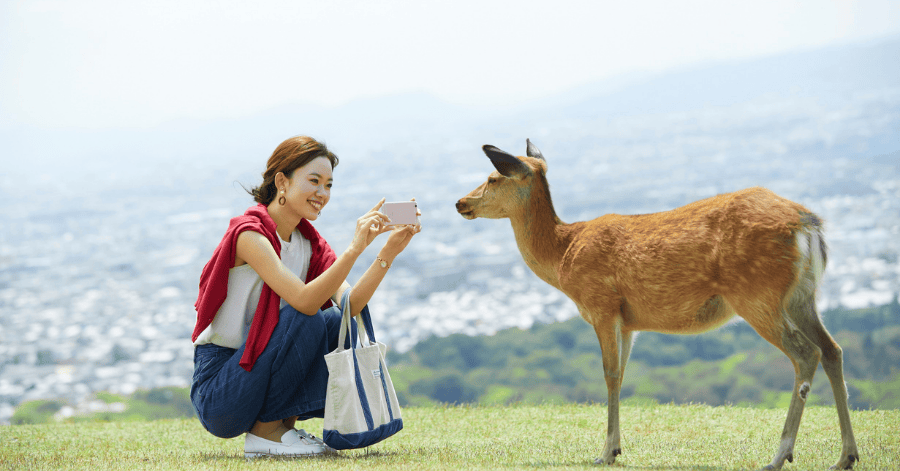 things to do in uji: nara day trip