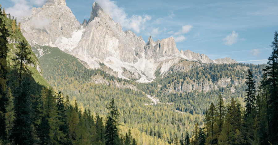 American Express KrisFlyer Credit Card Review: Base vs Ascend — Which Is Worth It?