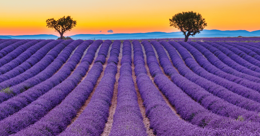 france atm withdrawal