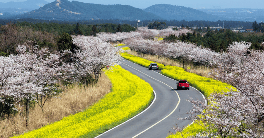 seoul to jeju road trip
