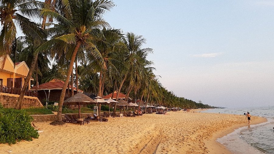 Palm-lined Long Beach with sun loungers and parasols by the sea at dusk