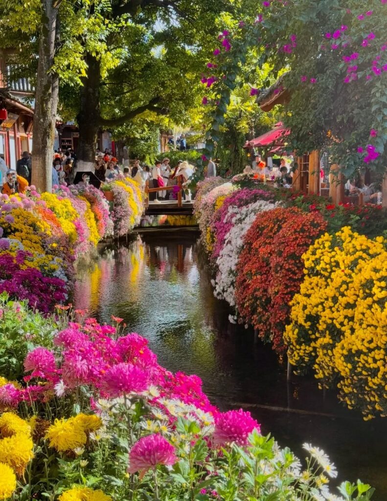 Canal lined with bright flowers and busy cafes in Lijiang Old Town