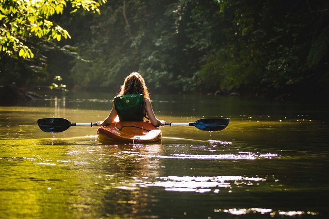 Person paddling a kayak along the calm, forest-lined Cua Can River, Phu Quoc