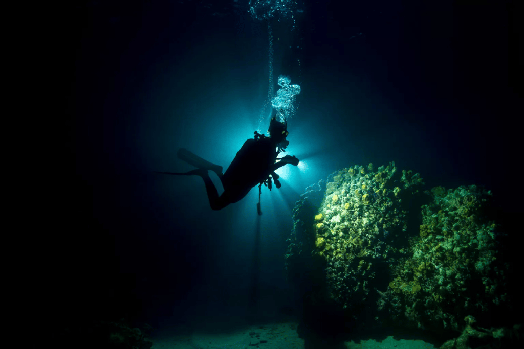 A scuba diver silhouetted with a torch beside a reef wall on a night dive