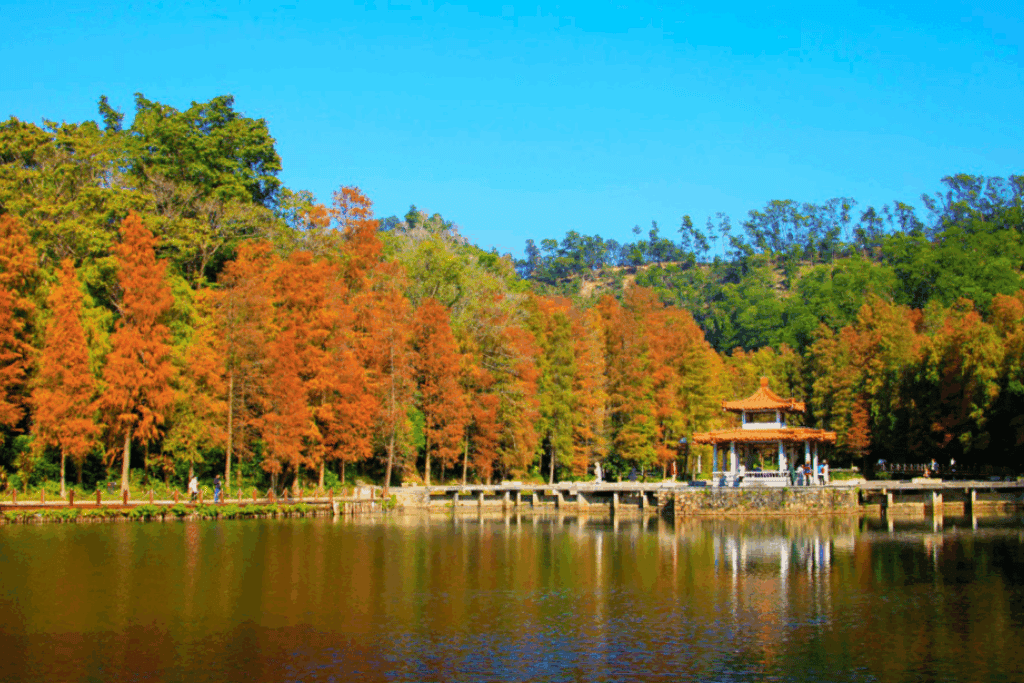 Boardwalk and pavilion beside a lake framed by red autumn cypress trees