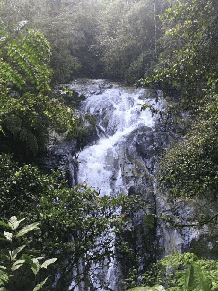 A jungle waterfall tumbling over rocks among dense greenery at Robinson Falls, Tanah Rata