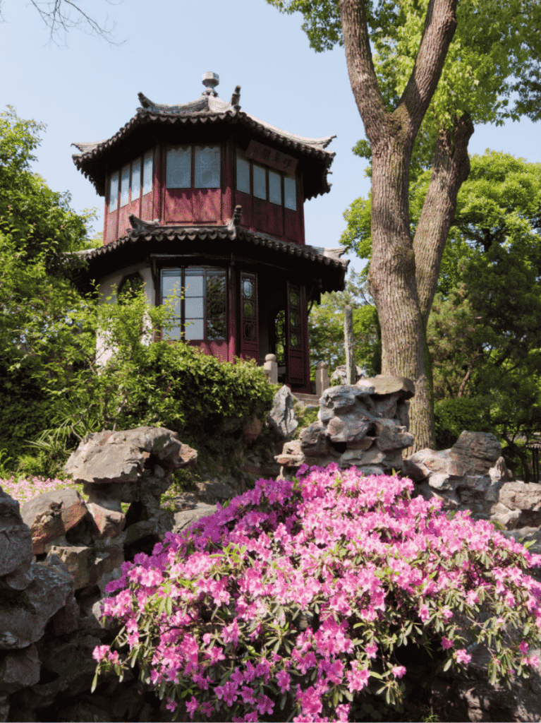 A red-timbered garden pavilion above a rockery of pink azaleas in bloom