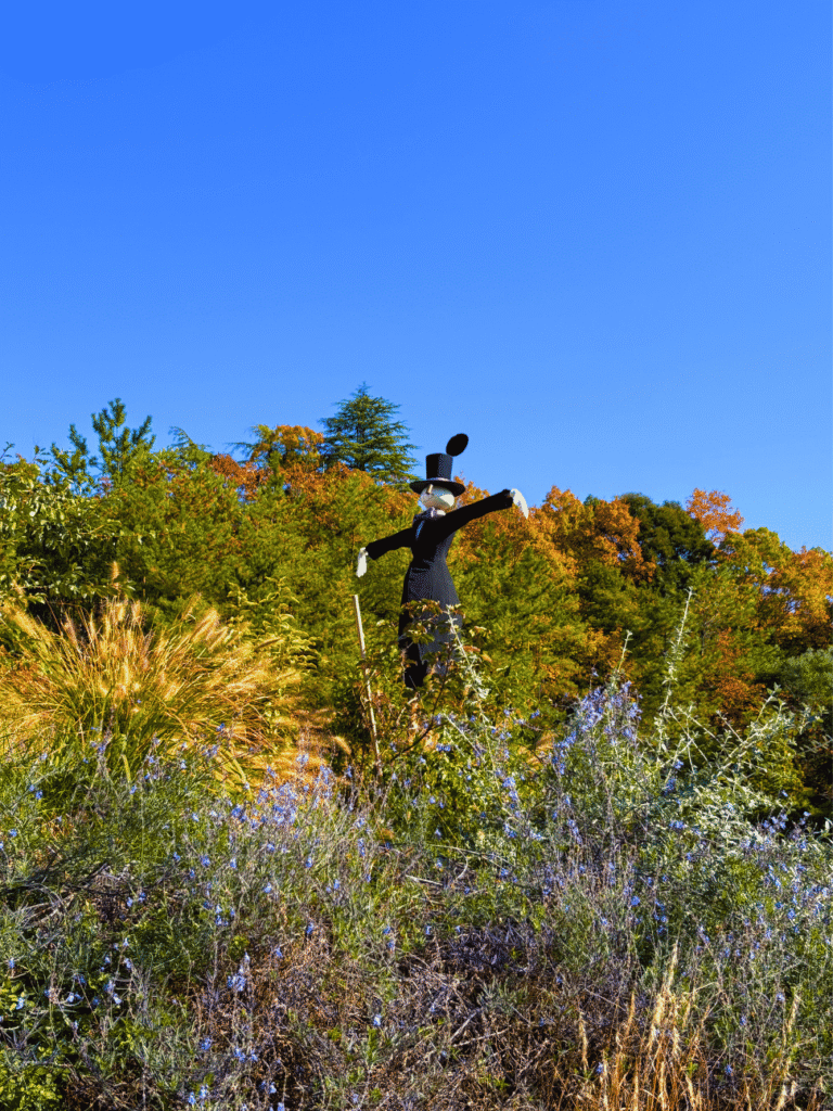 Autumn foliage and wildflowers on a hillside at Ghibli Park, with Turnip Head among the grasses