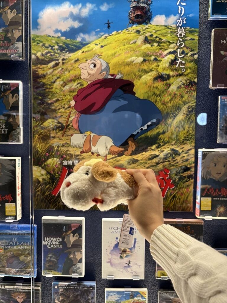 Heen cat plush held up by a wall of Studio Ghibli DVDs and a Howl's Moving Castle poster