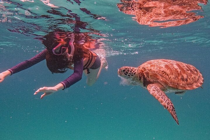 Snorkeller swimming beside a green sea turtle in clear water at Redang