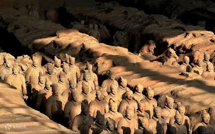 Rows of Terracotta Army warriors standing in a sunlit excavation pit