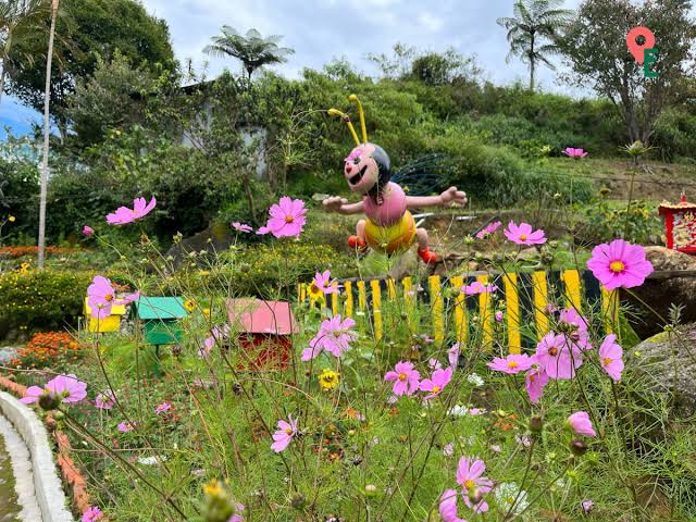 Cartoon bee statue and beehive boxes among pink cosmos flowers at Ee Feng Gu Bee Farm