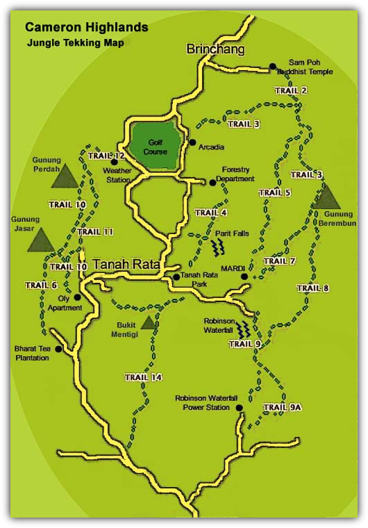 Illustrated map of Cameron Highlands numbered jungle trekking trails around Tanah Rata and Brinchang