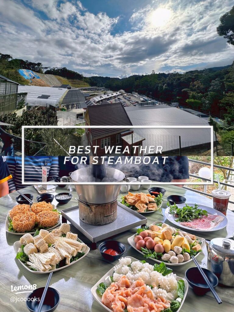 A spread of steamboat hotpot ingredients laid out on a table with a highland view
