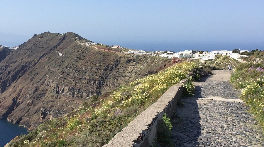 A cobbled cliff-edge path lined with wildflowers on the Fira to Oia hike, Santorini