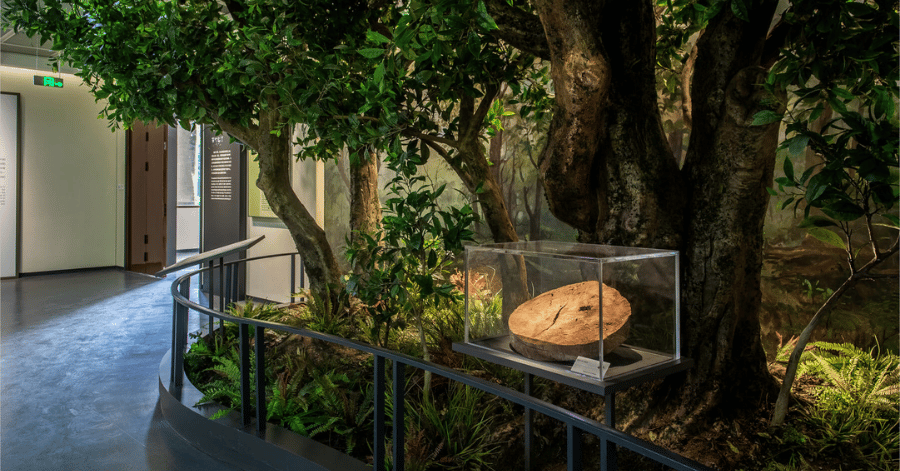 things to do in hangzhou: China National Tea Museum (中国茶叶博物馆)
