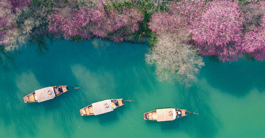 things to do in hangzhou: Xixi National Wetland Park (西溪国家湿地公园)