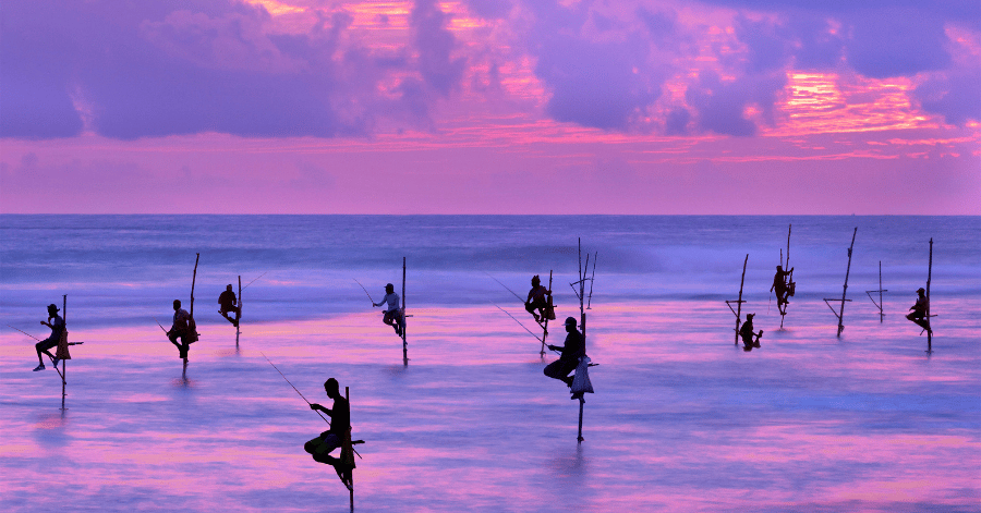 Traditional Sri Lankan stilt fishermen perched on poles in the sea against a pink sunset