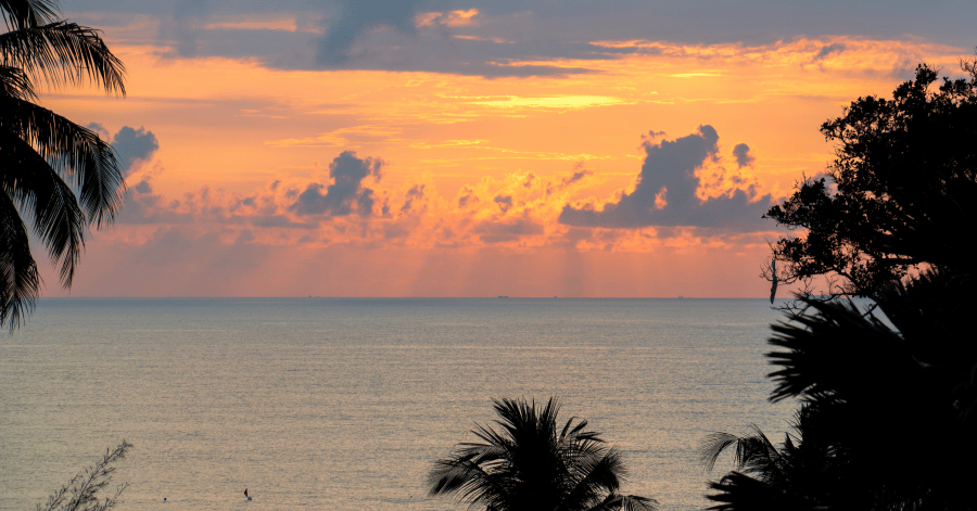 A vivid sunset over the sea framed by silhouetted palm fronds at Desaru