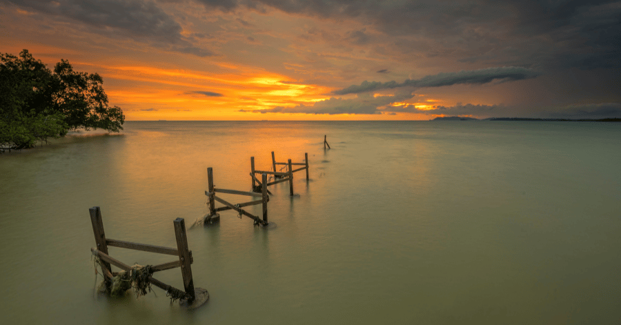 Weathered wooden jetty posts in calm water under an orange sunset