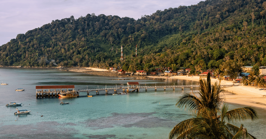 Aerial view of a Tioman Island bay with a jetty, boats, beach and jungle hills