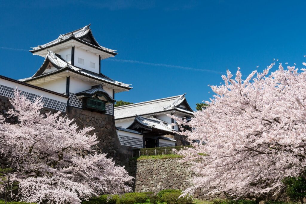 Kanazawa Castle's white turret framed by cherry blossoms under a blue sky