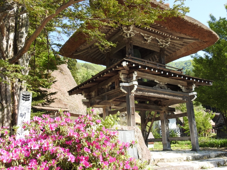 The thatched-roof bell tower of Myozenji Temple with pink azaleas in bloom