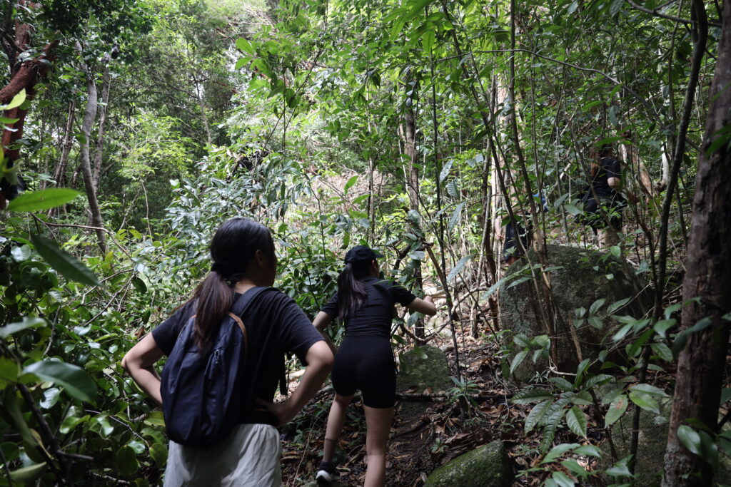 Two hikers on a narrow jungle trail through dense green forest on Perhentian Kecil