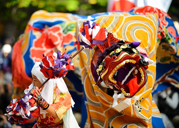 A lion dance performance with an ornate red and gold lion head at the Doburoku Festival