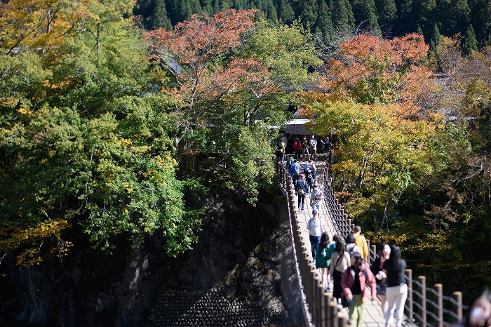 Visitors crossing the wooden Deai suspension bridge into Shirakawago among autumn trees