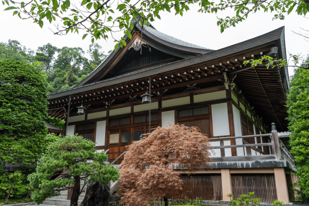 A wooden Zen temple hall framed by a red maple and greenery at Hokoku-ji, Kamakura