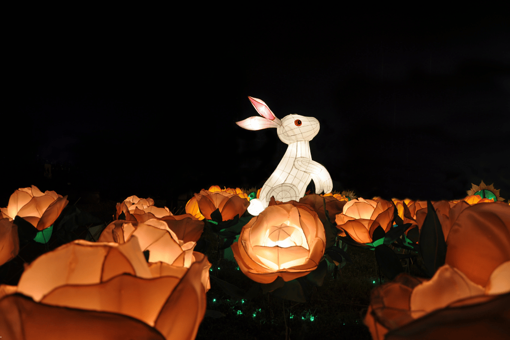 A glowing white rabbit lantern among rose-shaped lanterns at a night lantern display in Taiwan