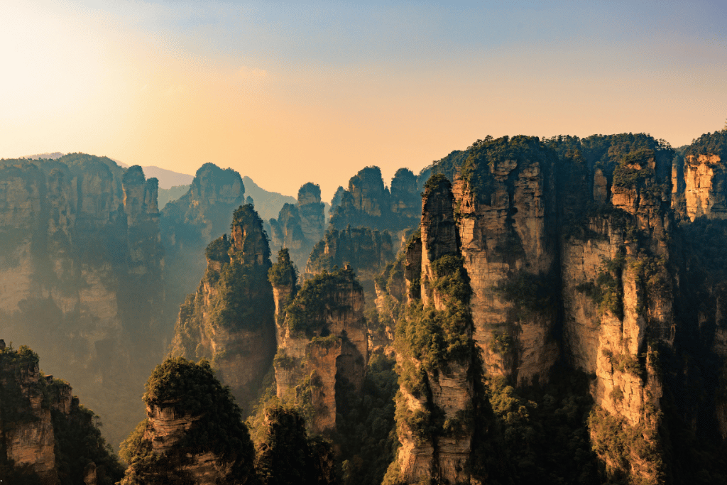 Forested sandstone spires glowing at golden hour in Zhangjiajie