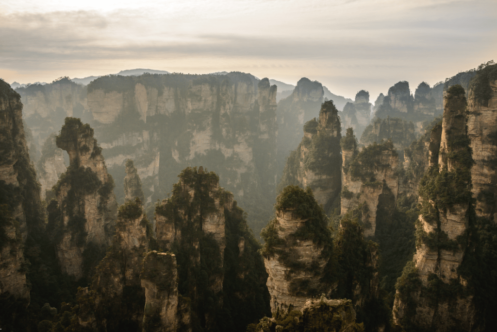 Misty forested sandstone pillars across Wulingyuan in Zhangjiajie