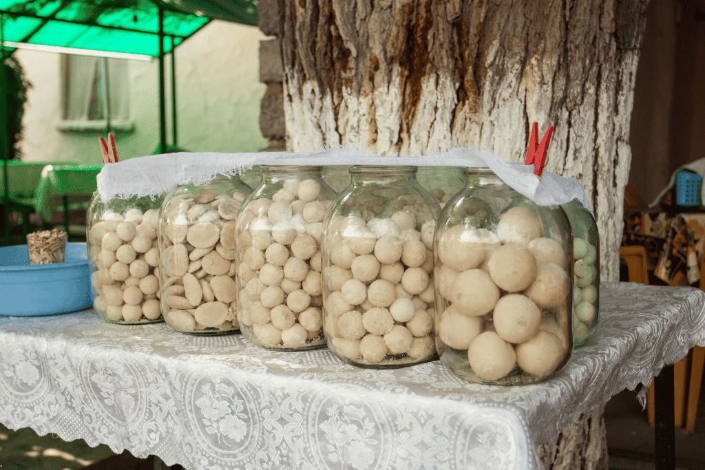 Glass jars filled with white balls of dried, salted kurt on a market table