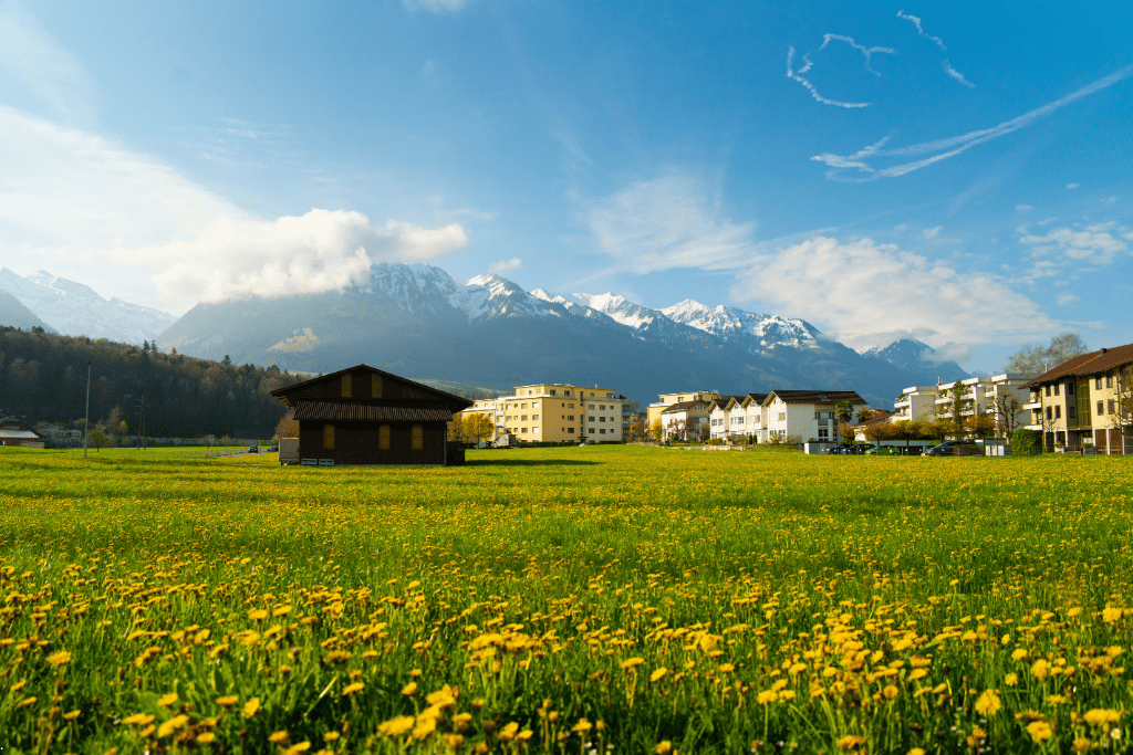 A meadow of yellow dandelions before snow-capped mountains, with a chalet and village