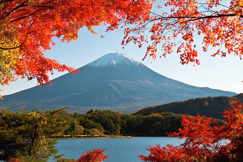 Mt Fuji seen across a lake, framed by bright red autumn maple leaves