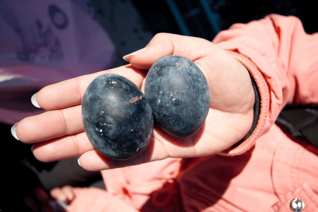 A hand holding two black-shelled kuro-tamago eggs at Owakudani