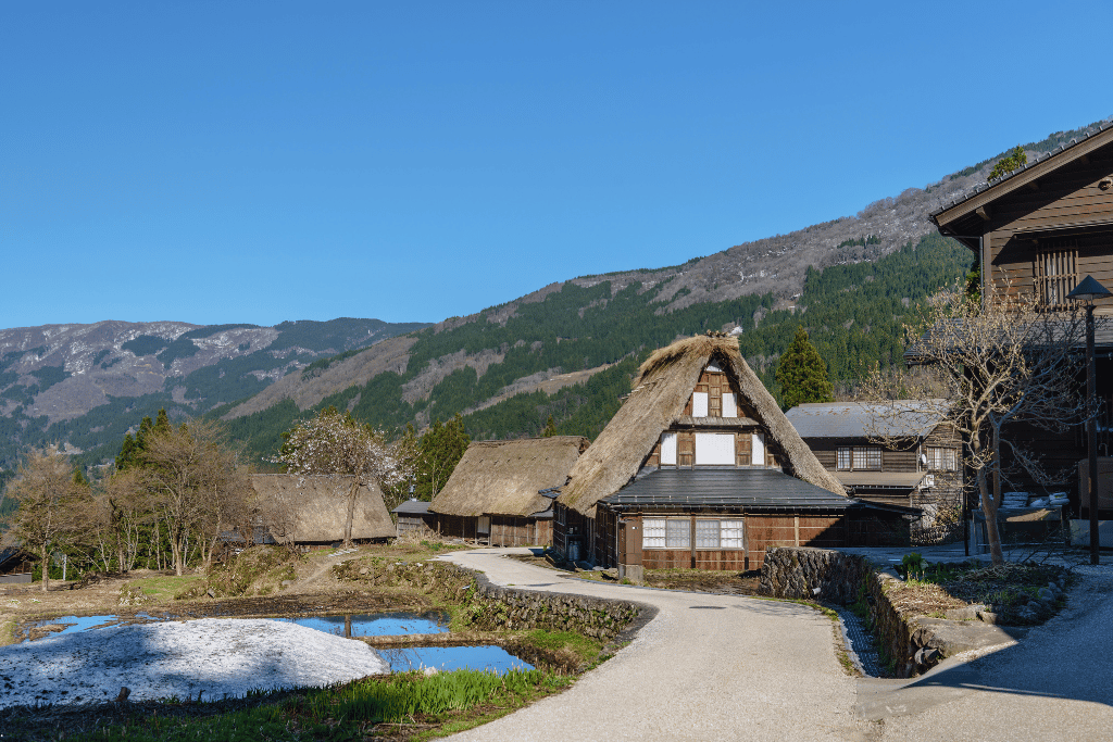 A gassho-zukuri farmhouse in the quiet Gokayama village with paddies and mountains behind