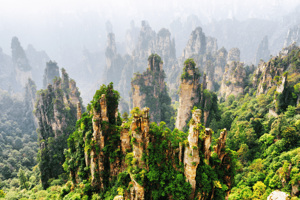 Sandstone spires layered in morning fog at Tianzi Mountain, like an ink painting