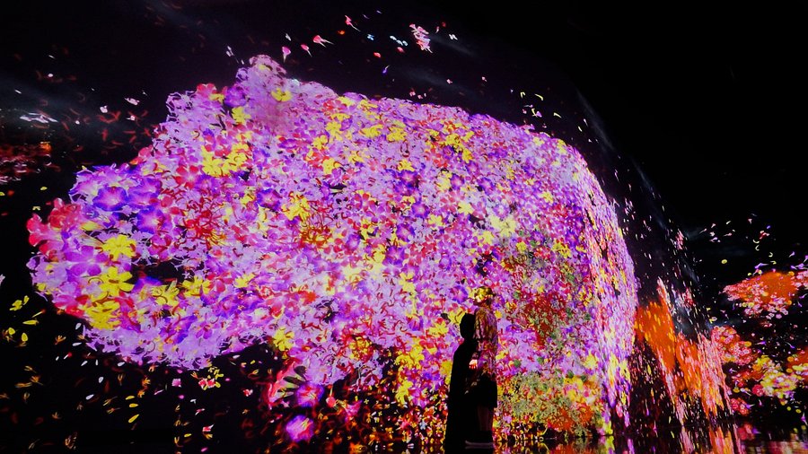 Silhouetted visitor watching a giant projection of blooming pink and yellow flowers at teamLab