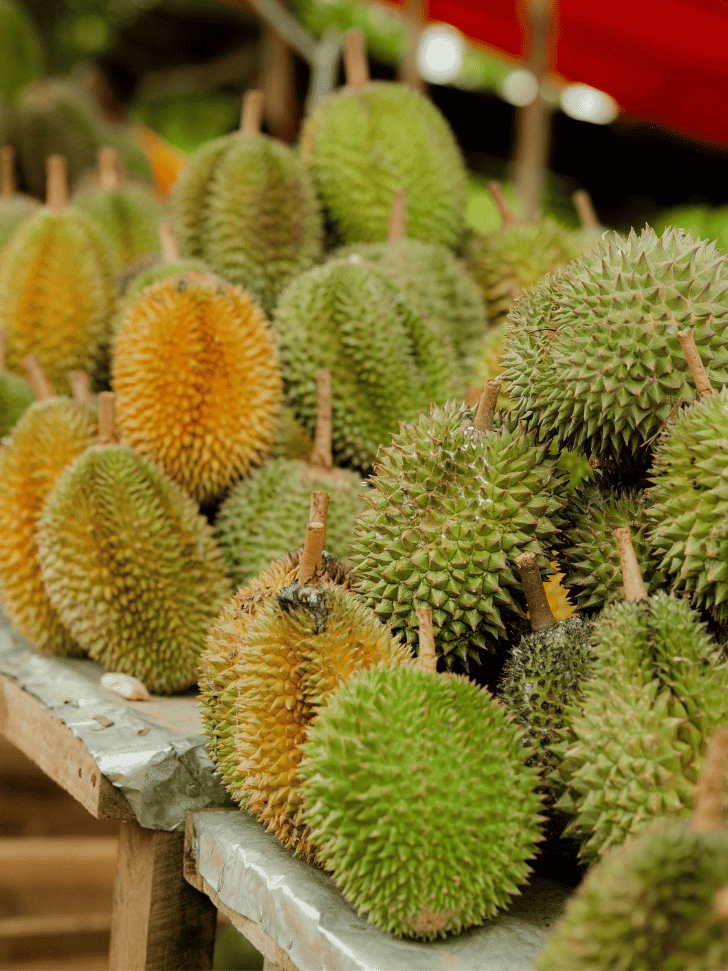 A table piled high with fresh whole durians in green and yellow spiky husks at a stall